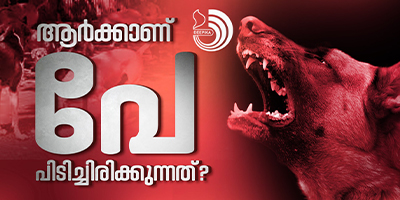ഇത് ആഭ്യന്തര ഭീകരാക്രമണമാണ്. പക്ഷേ, ചോദിക്കാനാരുമില്ല.